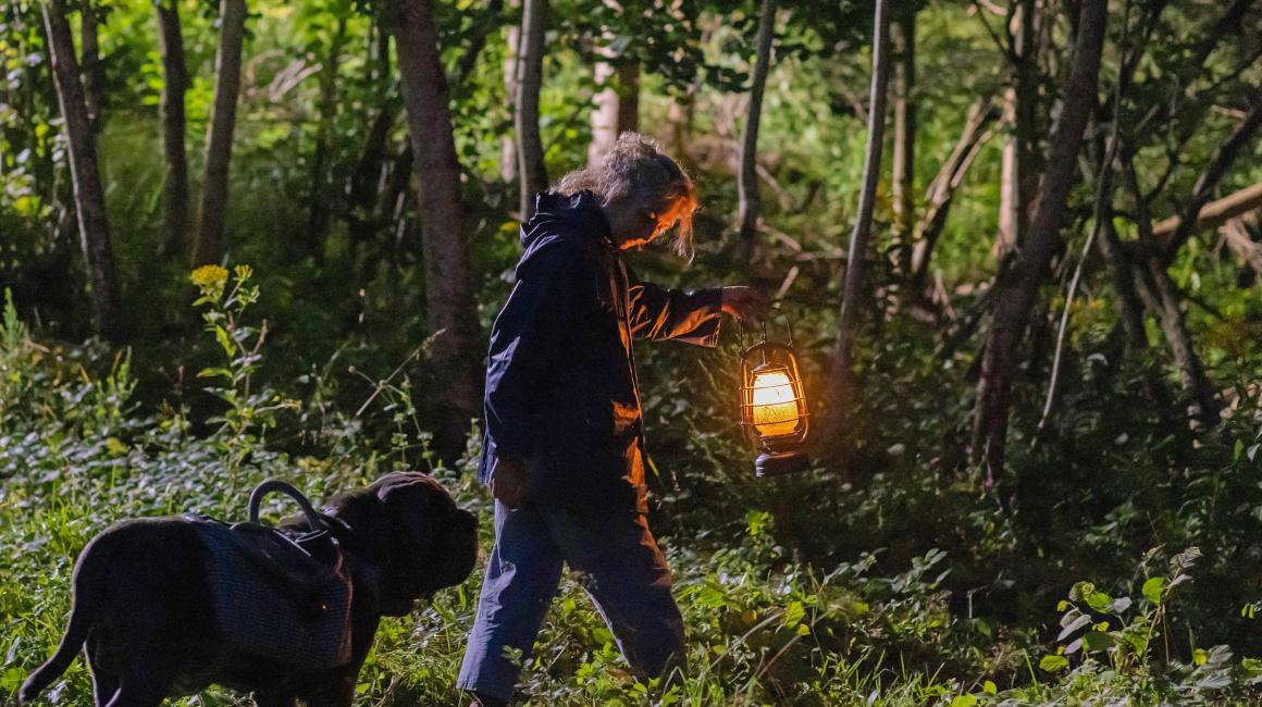 Bild: Capelight Pictures GbR